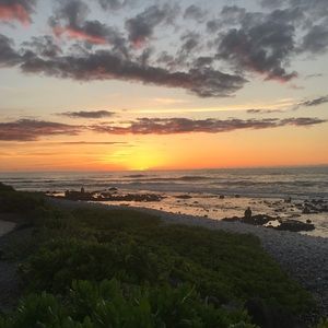 Meet your Posher, Ashlee